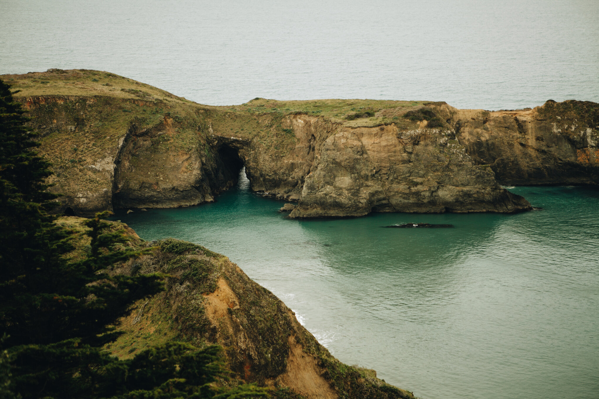 THE PACIFIC COAST, CALIFORNIA